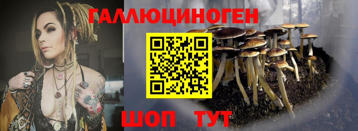 Псилоцибиновые грибы мицелий  Вход с VPN  Великие Луки  Псилоцибиновые грибы мицелий 