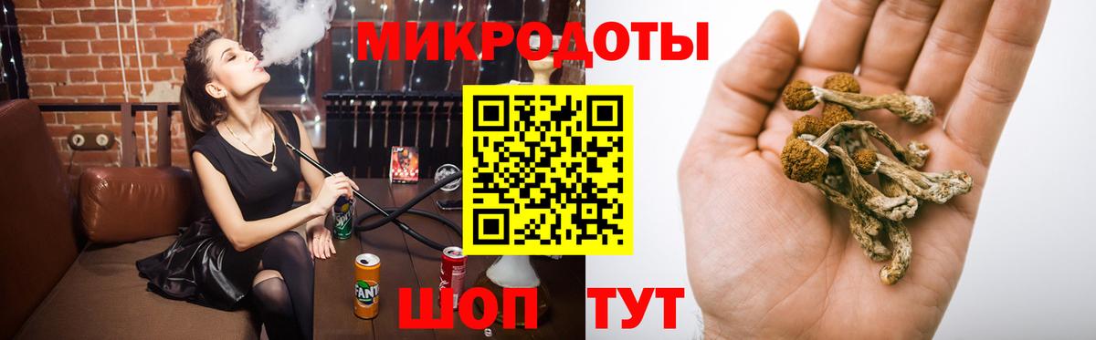 Галлюциногенные грибы Psilocybine cubensis Великие Луки
